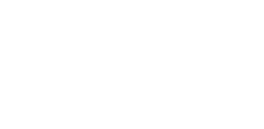 Transfer Online logo